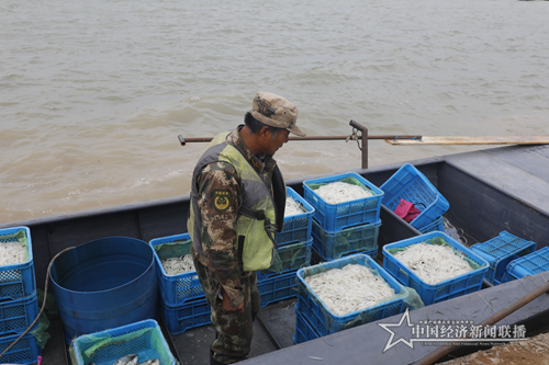 黑龍江連環(huán)湖天然野生魚喜獲豐收